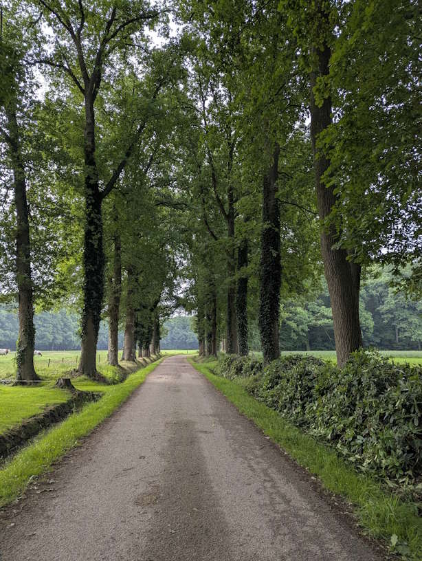 Foto uit de dinsdag route