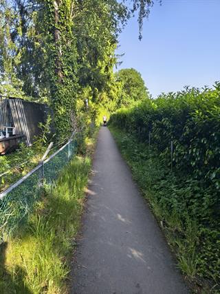 IMG_20260526_184621550_HDR.jpg