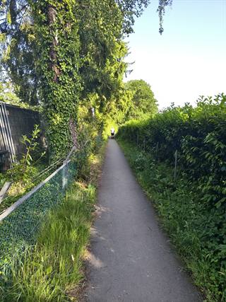 IMG_20260526_184622684_HDR.jpg