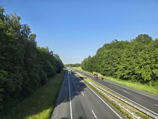 IMG_20260526_184824671_HDR.jpg
