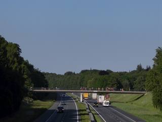 IMG_20260526_184848184.jpg