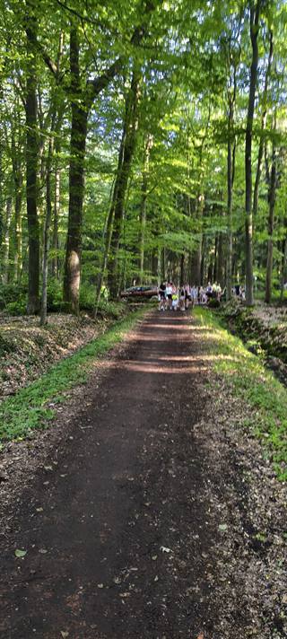 IMG_20260526_191346784_HDR.jpg
