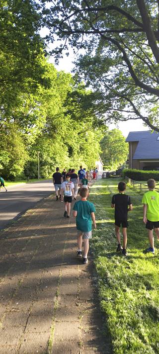 IMG_20260526_193556899.jpg
