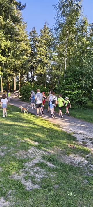 IMG_20260527_192519607_HDR.jpg